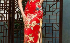 麻豆国产星空剧果冻传媒